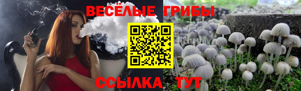 хочу наркоту  Галлюциногенные грибы MAGIC MUSHROOMS  Вход с VPN  Видное 